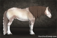 Horse Color:Blue Onyx Ice Pearl Sabino Rabicano