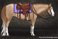 Horse Color:Liver Chestnut Pearl Sabino Splash Rabicano 