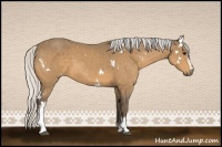 Horse Color:White Spotted Silver Buckskin 