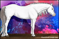 Horse Color:Brown Appaloosa