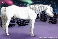 Horse Color:Liver Chestnut Sabino Near Leopard 