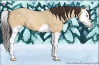 Horse Color:Amber Champagne Dun Splash