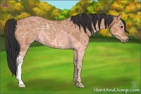 Horse Color:Bay Ice 