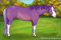 Horse Color:Watercolor Bay Splash