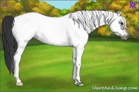 Horse Color:White Spotted Black Frame 
