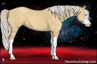 Horse Color:Silver Classic Champagne Dun Splash 
