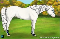 Horse Color:Cremello Dun Sabino