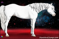 Horse Color:Silver Classic Cream Champagne Dun Splash Frame Appaloosa