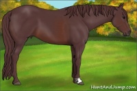 Horse Color:Chocolate Brown 