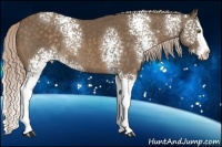 Horse Color:White Spotted Chocolate Palomino Splash Rabicano
