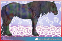 Horse Color:Nacre Black 