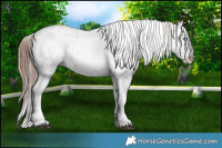 Horse Color:Chocolate Brown Pearl Sabino Splash  Brindle