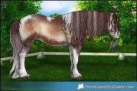 Horse Color:Chocolate Brown Onyx Sabino Tobiano  and Chocolate Brown Onyx Sabino Tobiano 