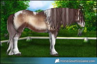 Horse Color:Chocolate Brown Onyx Sabino Tobiano  and Chocolate Brown Onyx Sabino Tobiano 