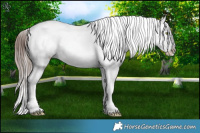 Horse Color:Chocolate Brown Sabino Tobiano Varnish Rabicano  Brindle