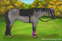 Horse Color:Grullo Roan 