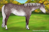 Horse Color:Chocolate Silver Brown Chinchilla Sabino