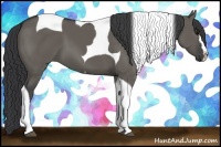 Horse Color:Grullo Splash Tobiano 