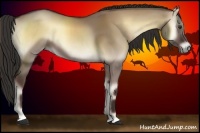 Horse Color:Liver Red Dun Onyx 