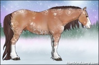 Horse Color:Chocolate Bay Ice Sabino 