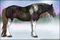 Horse Color:White Spotted Liver Chestnut Ice Rabicano 