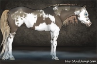 Horse Color:White Spotted Liver Red Dun Sabino Splash Frame  and White Spotted Liver Red Dun Sabino Splash
