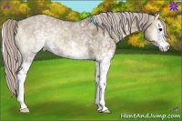 Horse Color:White Spotted Chocolate Silver Grullo Onyx