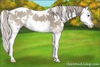 Horse Color:White Spotted Silver Grullo Onyx Splash 