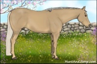 Horse Color:Palomino 