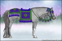 Horse Color:Black Appaloosa 