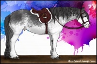 Horse Color:White Spotted Smoky Black 