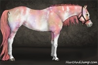 Horse Color:Nacre Watercolor White Spotted Liver Red Onyx Rabicano