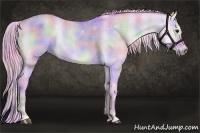 Horse Color:Nacre Watercolor Silver Buckskin Onyx 