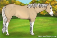 Horse Color:Silver Buckskin Roan Dun Splash