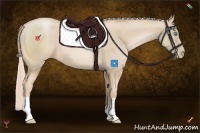 Horse Color:Palomino Pearl 