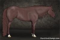 Horse Color:Chocolate Blue Roan 