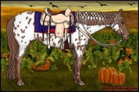 Horse Color:Chestnut Appaloosa 