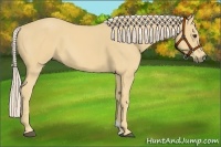 Horse Color:Palomino