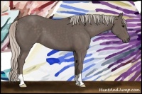 Horse Color:Silver Black 