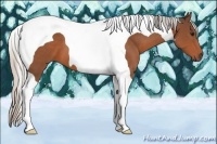 Horse Color:Silver Bay Tobiano
