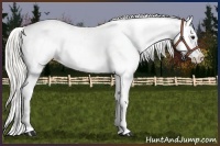 Horse Color:White Spotted Silver Smoky Black Blanket 