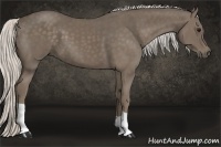 Horse Color:Silver Smoky Black 