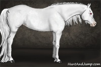 Horse Color:Silver Smoky Creme Chinchilla Sabino