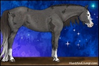 Horse Color:Liver Chestnut Ice Sabino Splash 