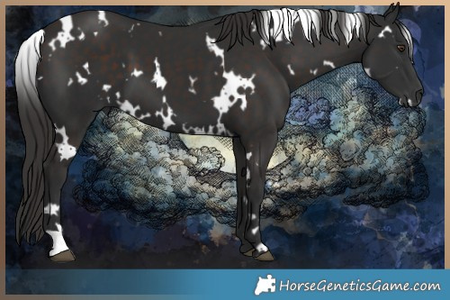 Horse Color:White Spotted Liver Chestnut 