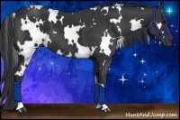 Horse Color:White Spotted Black 