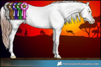 Horse Color:Sable Champagne Appaloosa