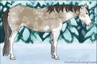 Horse Color:Classic Champagne Ice Splash