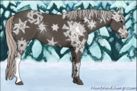 Horse Color:Silver Black Ice 