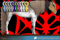 Horse Color:Buckskin Dun Tobiano Brindle and White Spotted Liver Chestnut Sabino